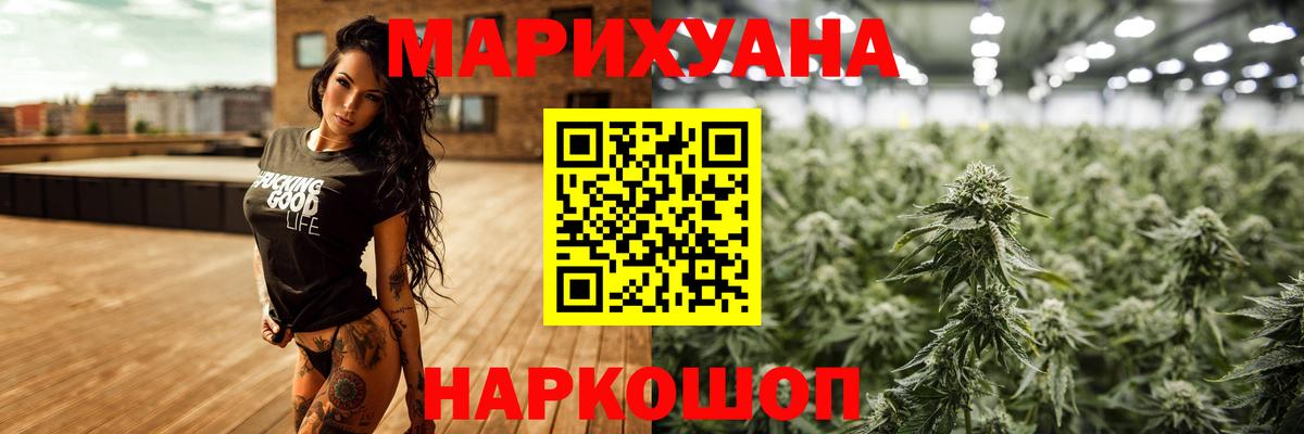 Бошки Шишки планчик Черногорск